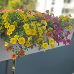 Neu Renoviert Mit Sonnenbalkon Und Netflix Im Zentrum * Sankt Augustin