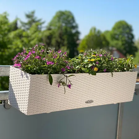 Neu Renoviert Mit Sonnenbalkon Und Netflix Im Zentrum Apartmán Sankt Augustin