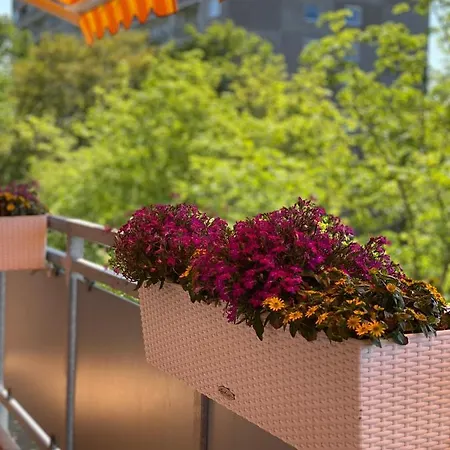 アパート Mit Sonnenbalkon Und Netflix Im Zentrum ザンクト・アウグスティン