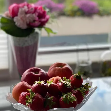 Mit Sonnenbalkon Und Netflix Im Zentrum アパート *