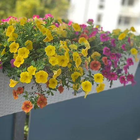 Neu Renoviert Mit Sonnenbalkon Und Netflix Im Zentrum * Санкт-Августин