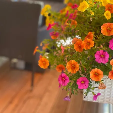 Neu Renoviert Mit Sonnenbalkon Und Netflix Im Zentrum