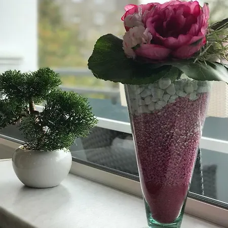 Mit Sonnenbalkon Und Netflix Im Zentrum アパート