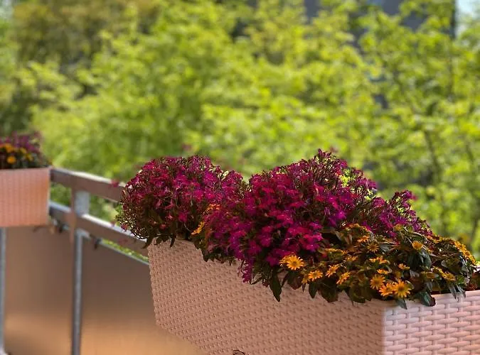 Appartamento Mit Sonnenbalkon Und Netflix Im Zentrum Sankt Augustin