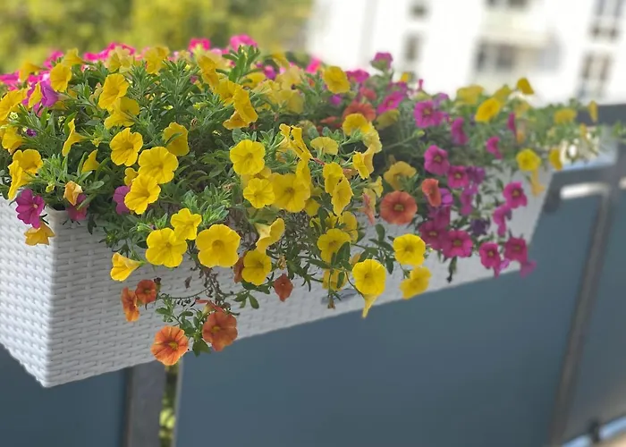 Neu Renoviert Mit Sonnenbalkon Und Netflix Im Zentrum * Sankt Augustin