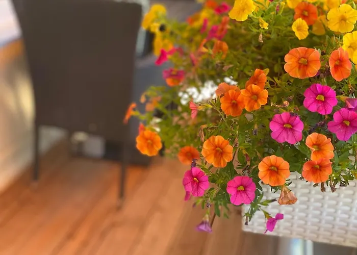 Neu Renoviert Mit Sonnenbalkon Und Netflix Im Zentrum