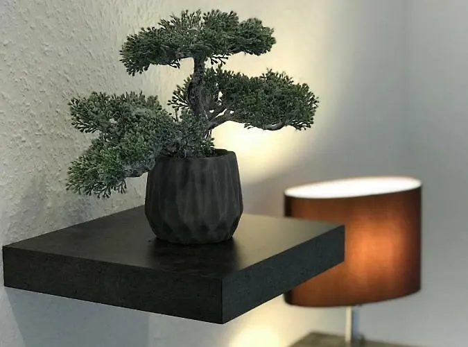 Mit Sonnenbalkon Und Netflix Im Zentrum